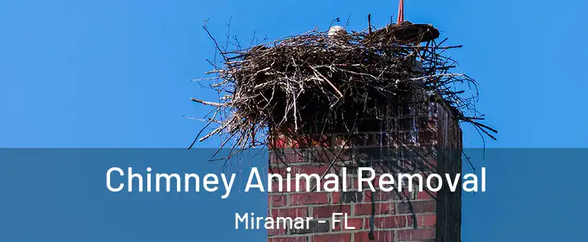 Chimney Animal Removal Miramar - FL