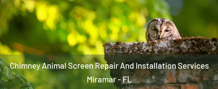  Chimney Animal Screen Repair And Installation Services Miramar - FL