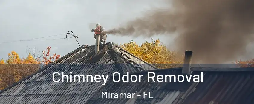  Chimney Odor Removal Miramar - FL