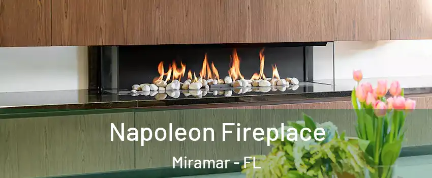  Napoleon Fireplace Miramar - FL